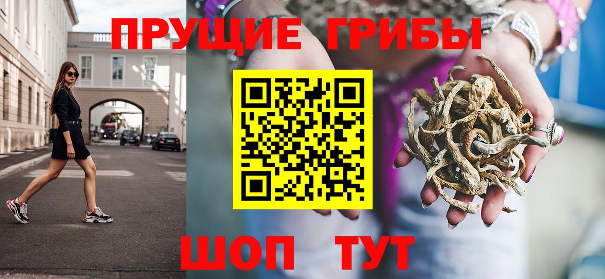 Псилоцибиновые грибы Psilocybe Гагарин