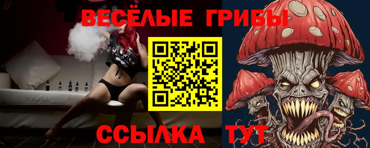 Псилоцибиновые грибы Psilocybine cubensis  Галлюциногенные грибы мицелий  Вход с VPN  Гагарин 